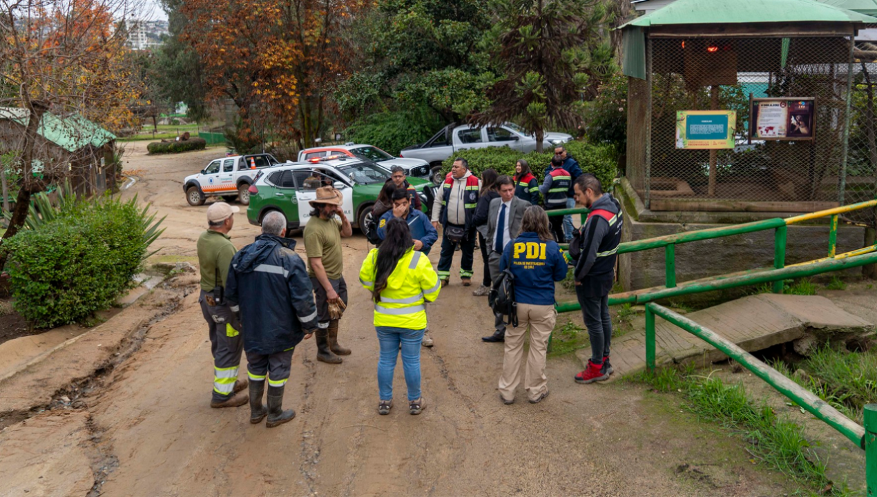 /regionales/region-de-valparaiso/ciervos-y-pavos-reales-muertos-investigan-ataque-en-ecoparque-de-quilpue