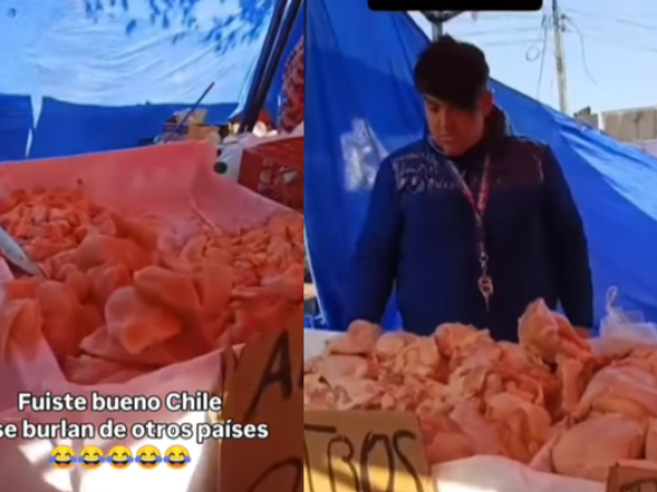 Sin refrigeración ni hielo: carnicerías en ferias chilenas desatan debate sanitario