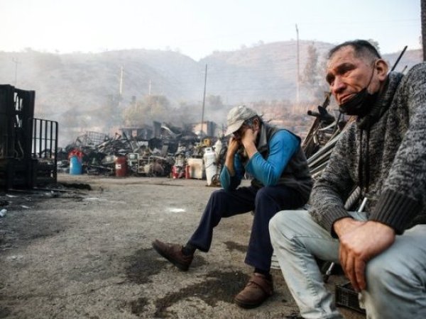 Exjefe de Conaf Valparaíso afirma que alerta ignorada en megaincendio de 2024 pudo salvar vidas